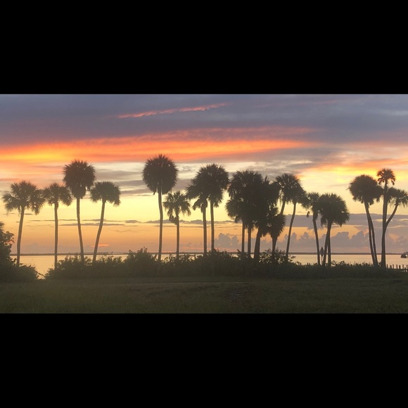 Meet your Posher, Kelly - Picture 1 of 1